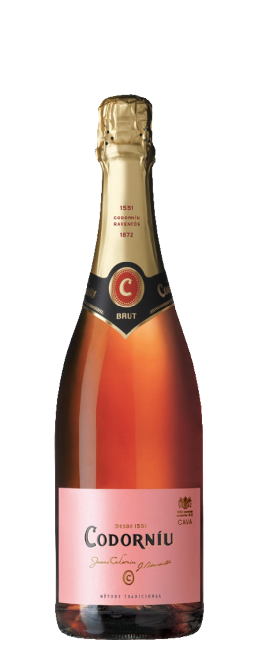 Codorniu Clasico Rose Cava Brut Shop wines